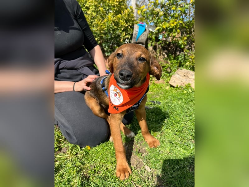 BODO – kleiner Entdecker mit großem Herz