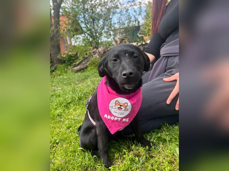 SHILA – neugierige kleine Entdeckerin