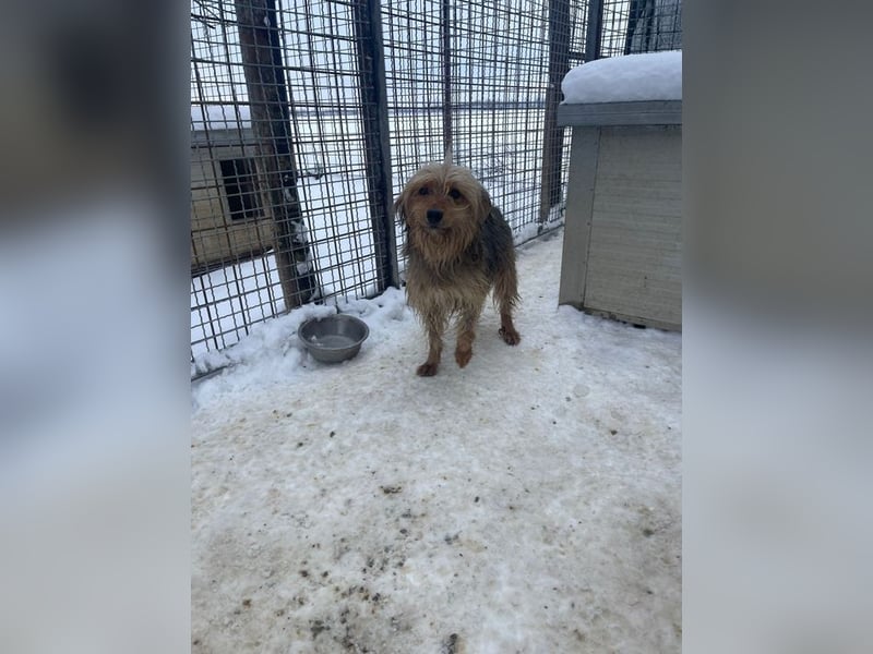 RUBY – zarte, sensible Seele