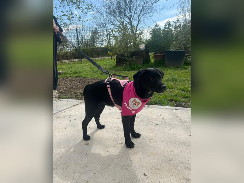 SHILA – neugierige kleine Entdeckerin