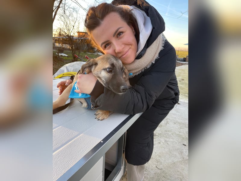 LUCKY – kleiner charmanter Herzensbrecher