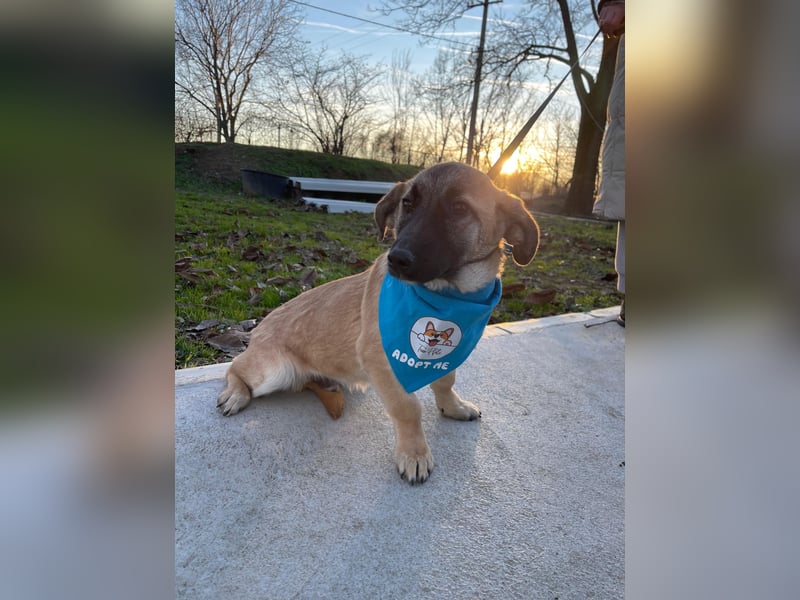 LUCKY – kleiner charmanter Herzensbrecher