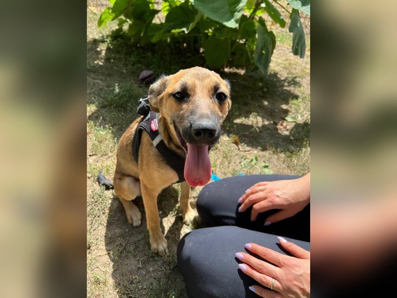 Cleo - unsere wundervolle Frohnatur