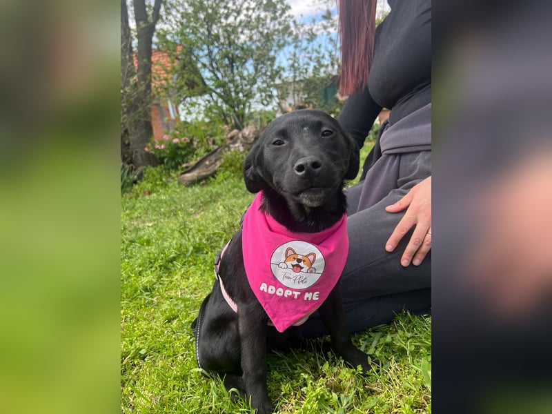 SHILA – neugierige kleine Entdeckerin