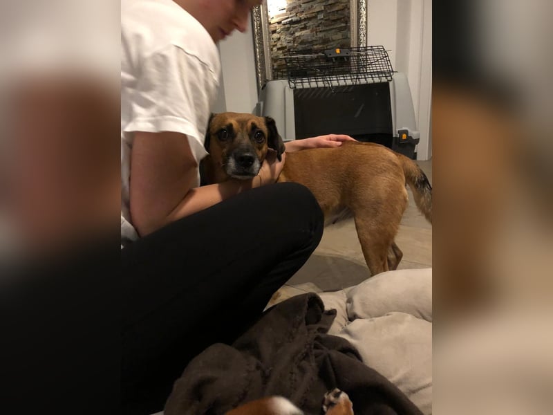 Raya ❤️Pflegefamilie 27252 Schwaförden