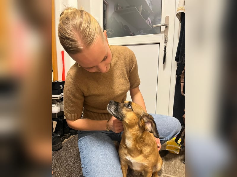 Raya ❤️Pflegefamilie 27252 Schwaförden