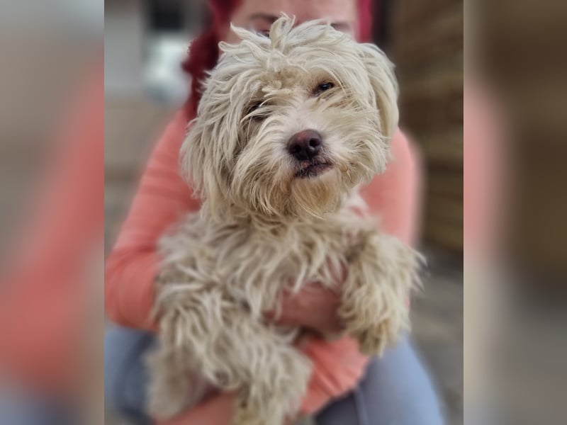 Emma sucht eine Familie