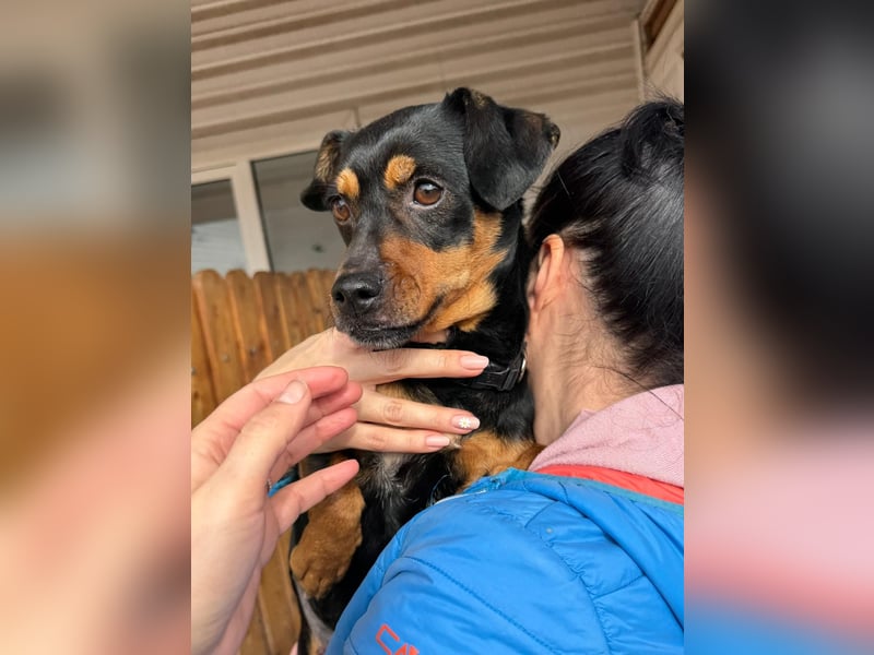 Liza - süße Maus sucht Ihre Familie