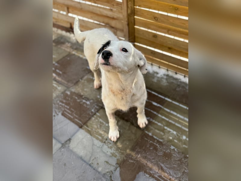 Spoty sucht Ihre Menschen