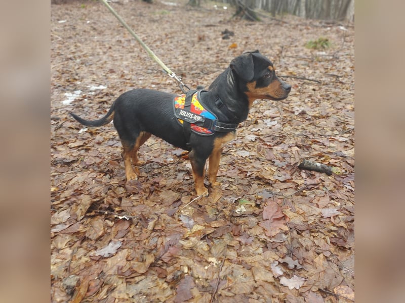 Liza - süße Maus sucht Ihre Familie