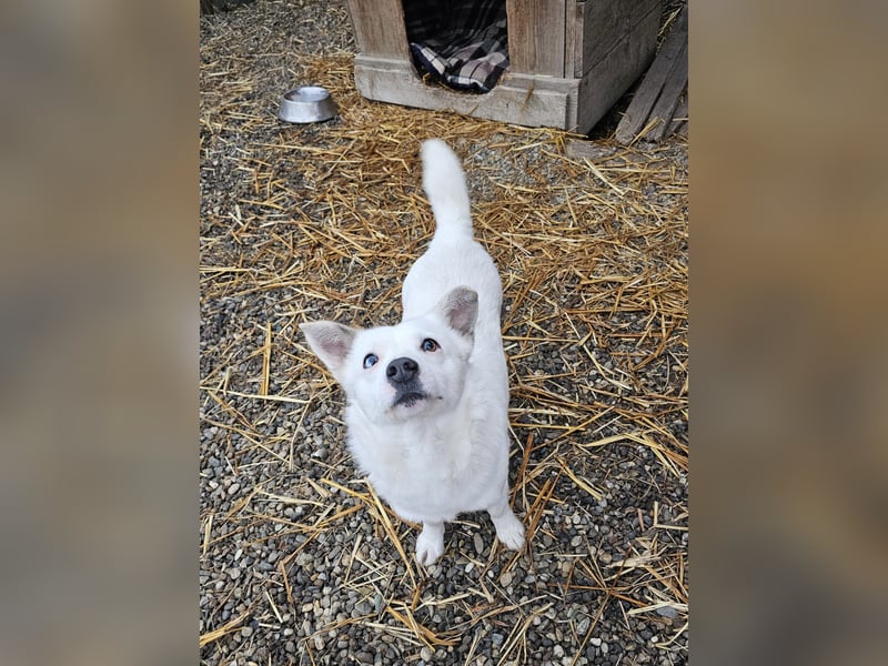 Albutu - der Schatz!