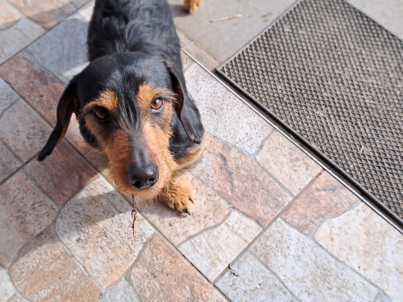 Bibi und Bebe suchen gemeinsam ihr Glück!