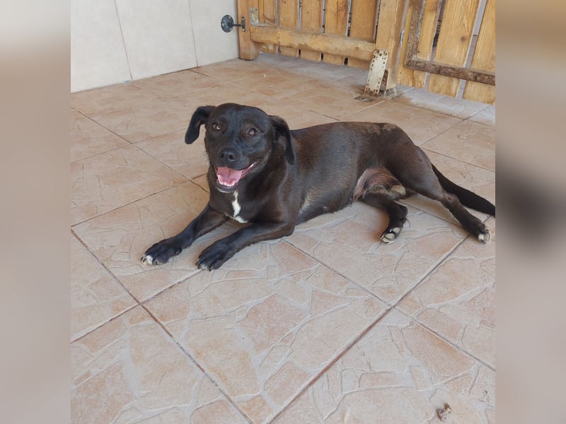 Coco sucht Ihre Familie!
