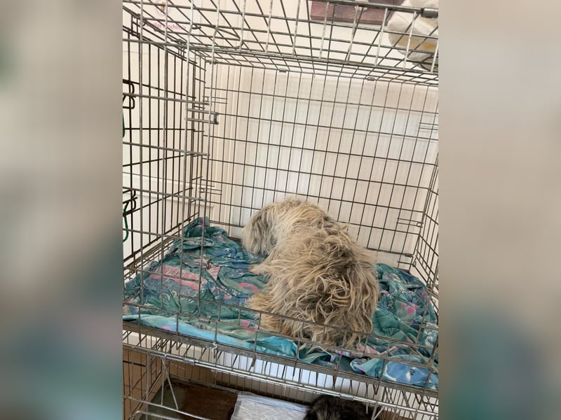 Sandy sucht Ihre Familie