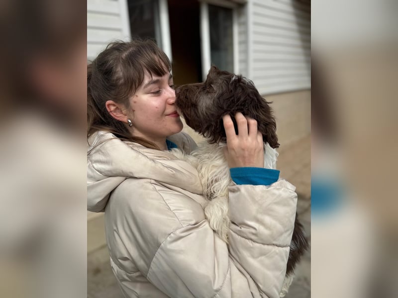 Flocke sucht sein Glück