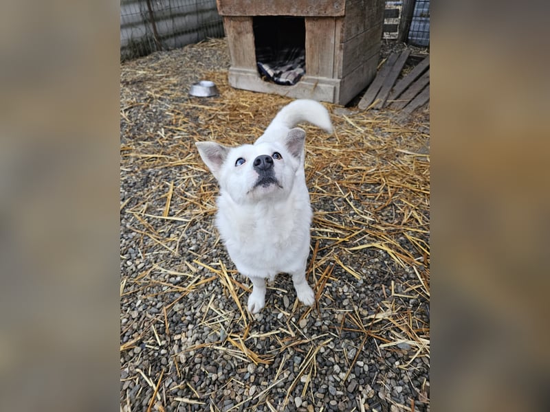 Albutu - der Schatz!