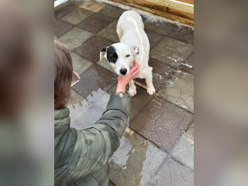 Spoty sucht Ihre Menschen