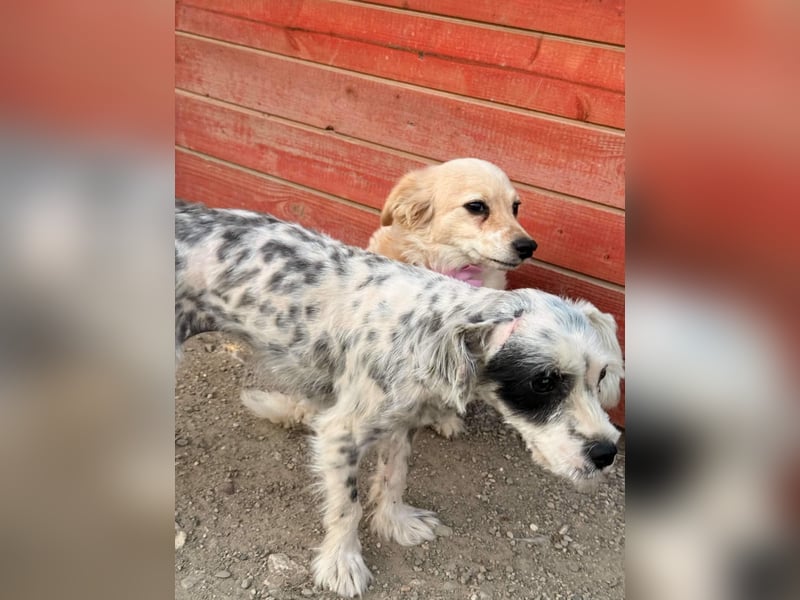 Sandy sucht Ihre Familie