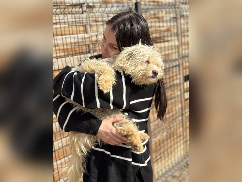 Emma sucht eine Familie