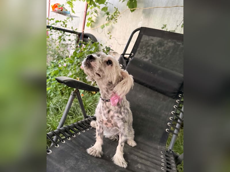 Sandy sucht Ihre Familie