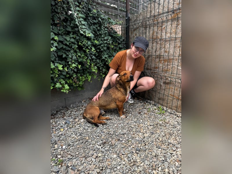 Arni sucht sein Zuhause