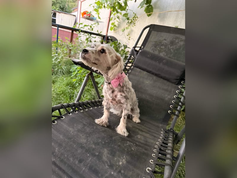 Sandy sucht Ihre Familie
