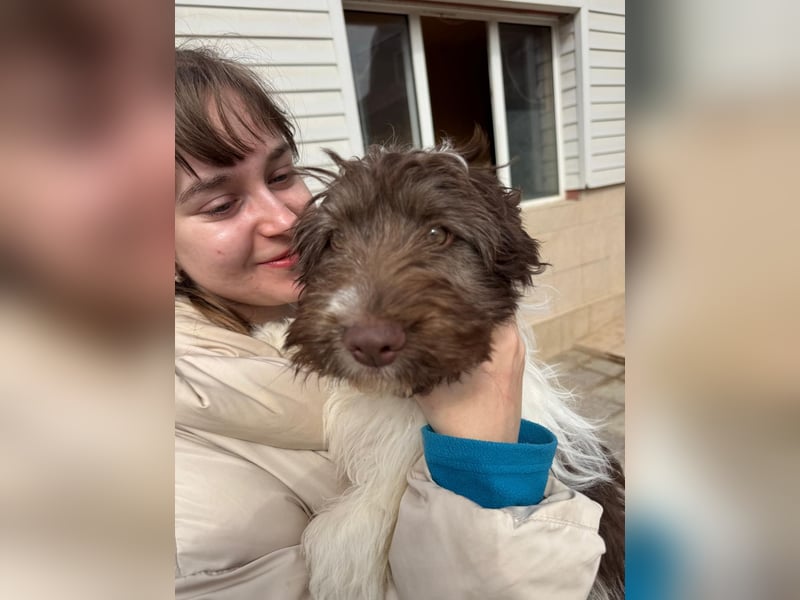 Flocke sucht sein Glück