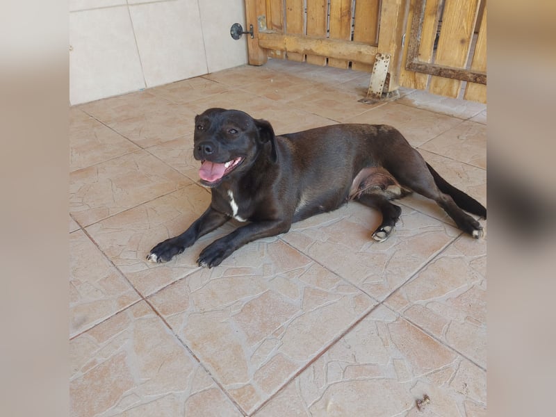 Coco sucht Ihre Familie!