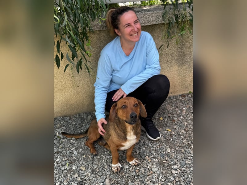 Arni sucht sein Zuhause