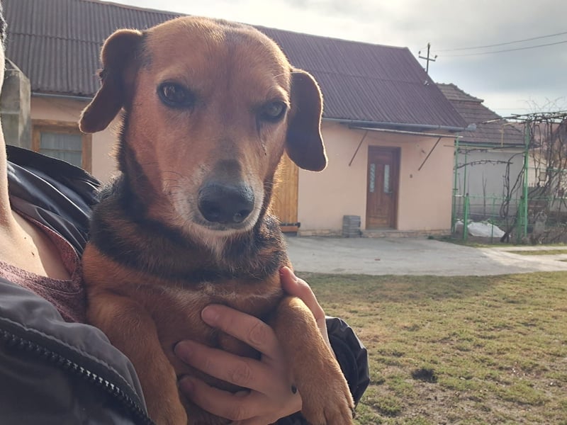 Bibi und Bebe suchen gemeinsam ihr Glück!
