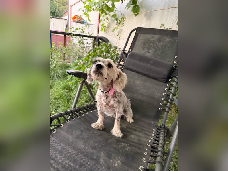 Sandy sucht Ihre Familie