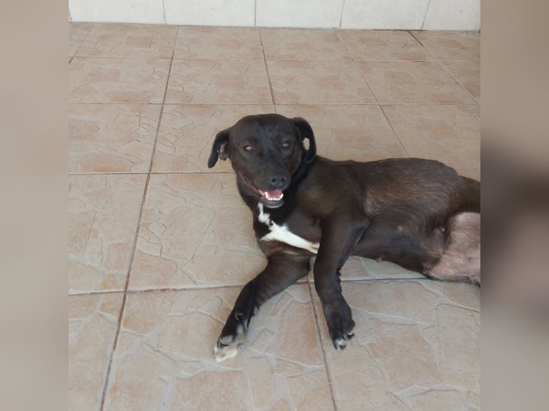 Coco sucht Ihre Familie!