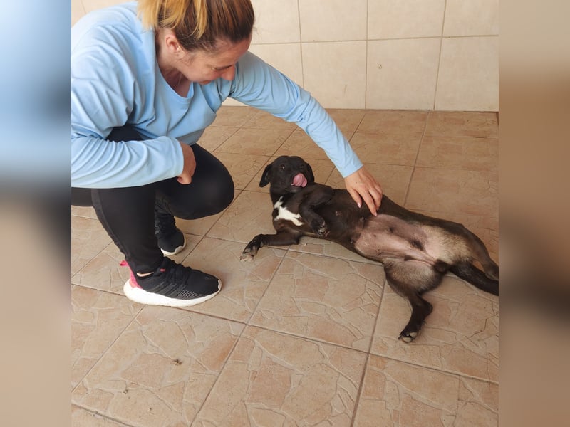 Coco sucht Ihre Familie!