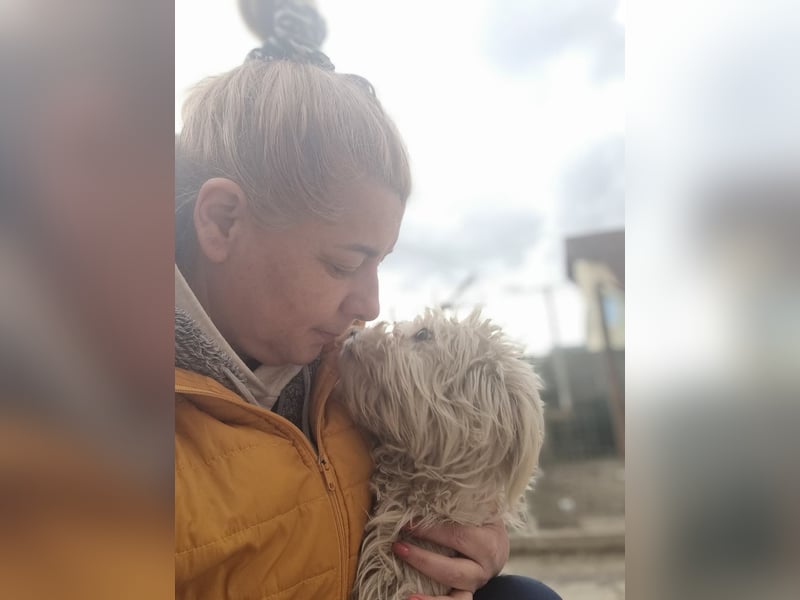 Emma sucht eine Familie