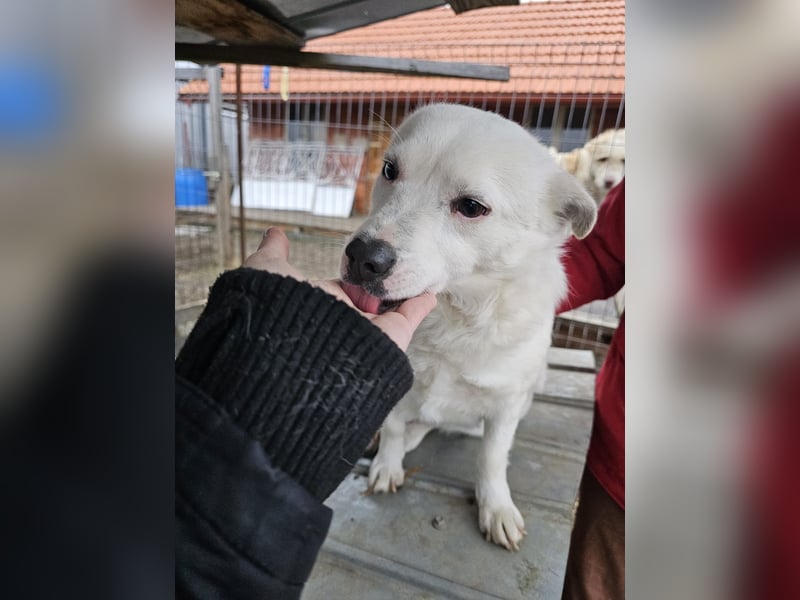 Albutu - der Schatz!