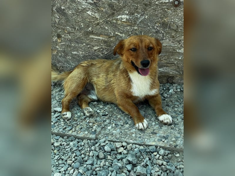 Pixel möchte auch ein Zuhause!