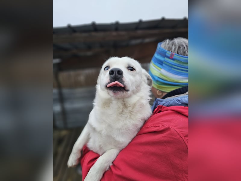 Albutu - der Schatz!