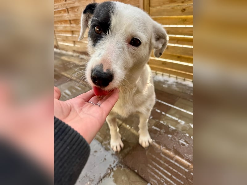 Spoty sucht Ihre Menschen