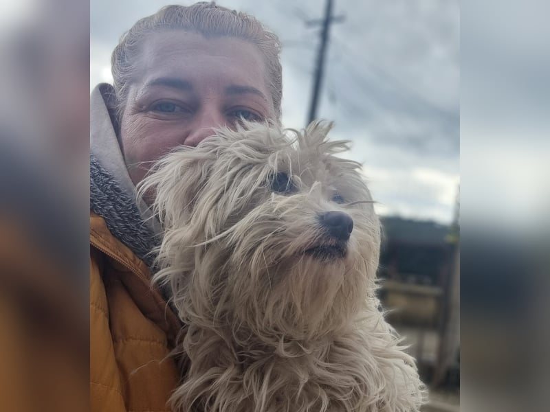 Emma sucht eine Familie