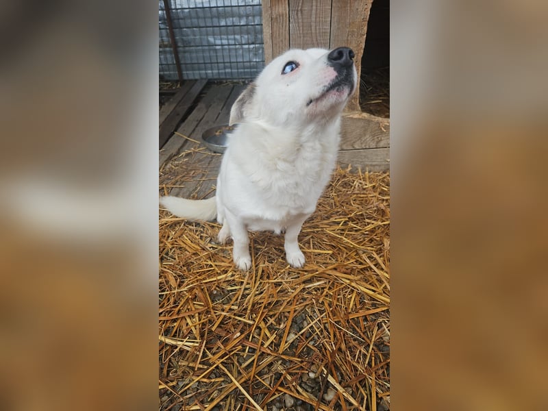 Albutu - der Schatz!