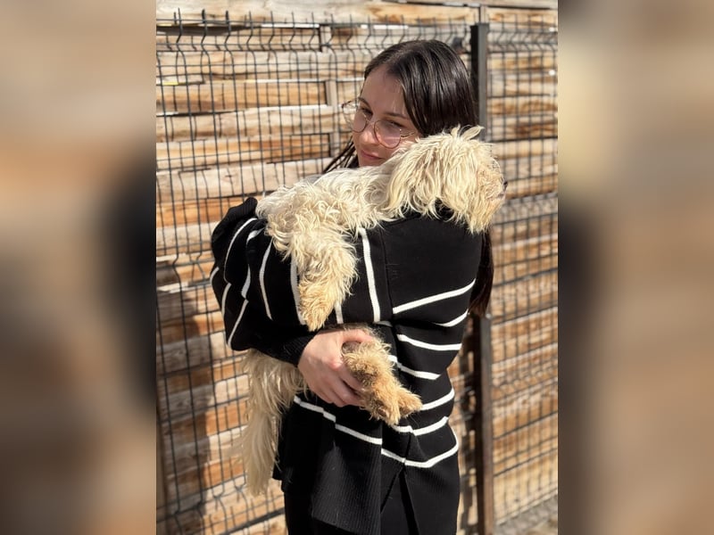 Emma sucht eine Familie