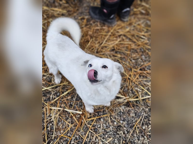 Albutu - der Schatz!