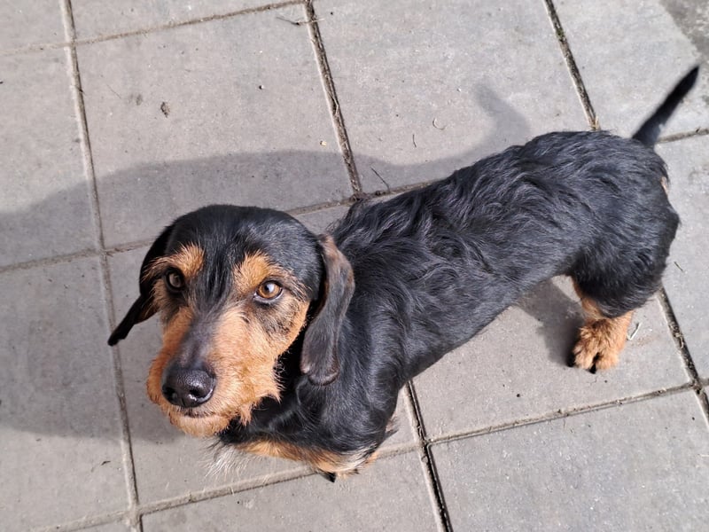 Bibi und Bebe suchen gemeinsam ihr Glück!