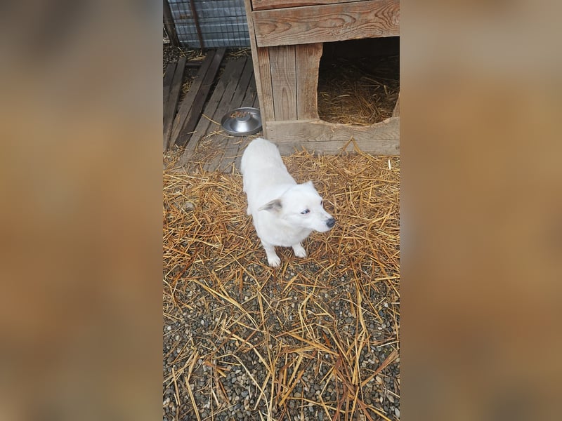 Albutu - der Schatz!