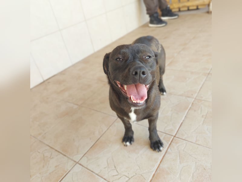 Coco sucht Ihre Familie!