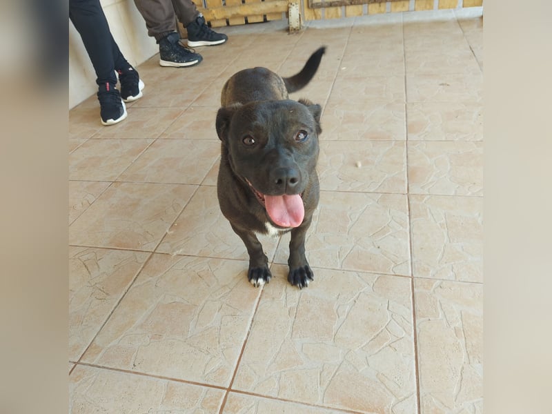 Coco sucht Ihre Familie!