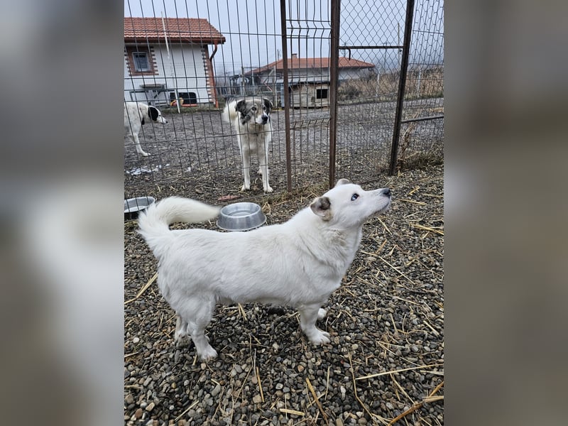 Albutu - der Schatz!