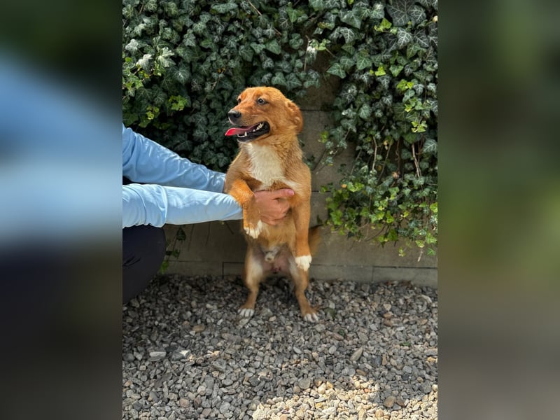 Pixel möchte auch ein Zuhause!