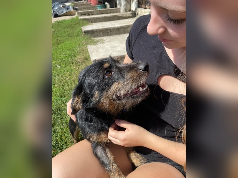 Coco sucht eine liebevolle Familie