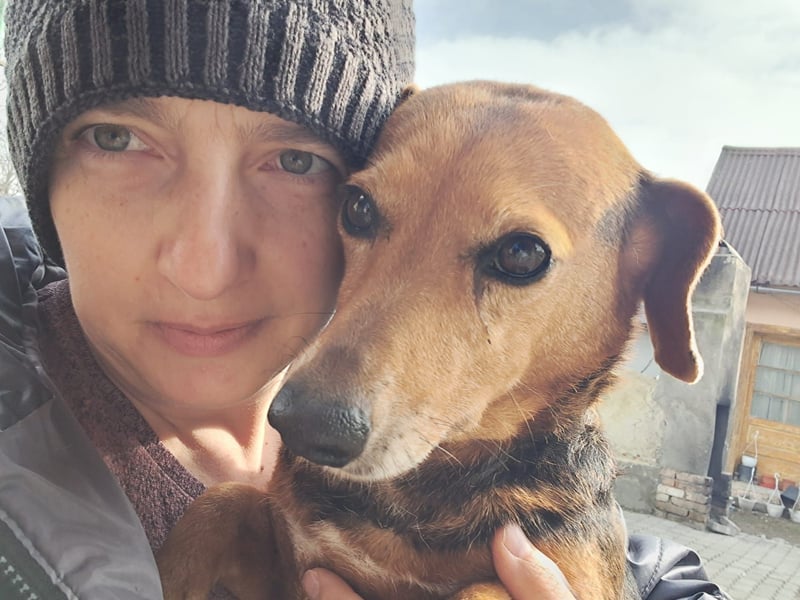 Bibi sucht ruhiges Zuhause!